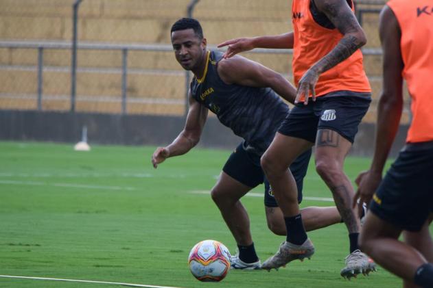 Pereira, meia do Novorizontino (Foto: Guilherme Videira/Novorizontino)