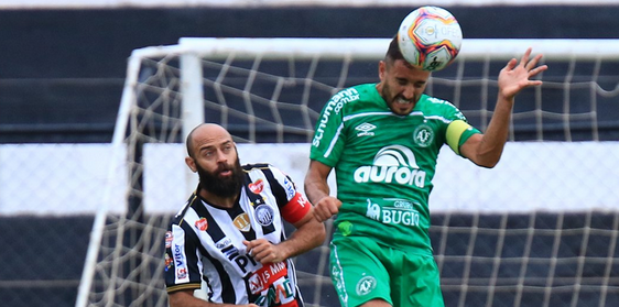 Foto: Márcio Cunha/ACF - Foto: Márcio Cunha/ACF