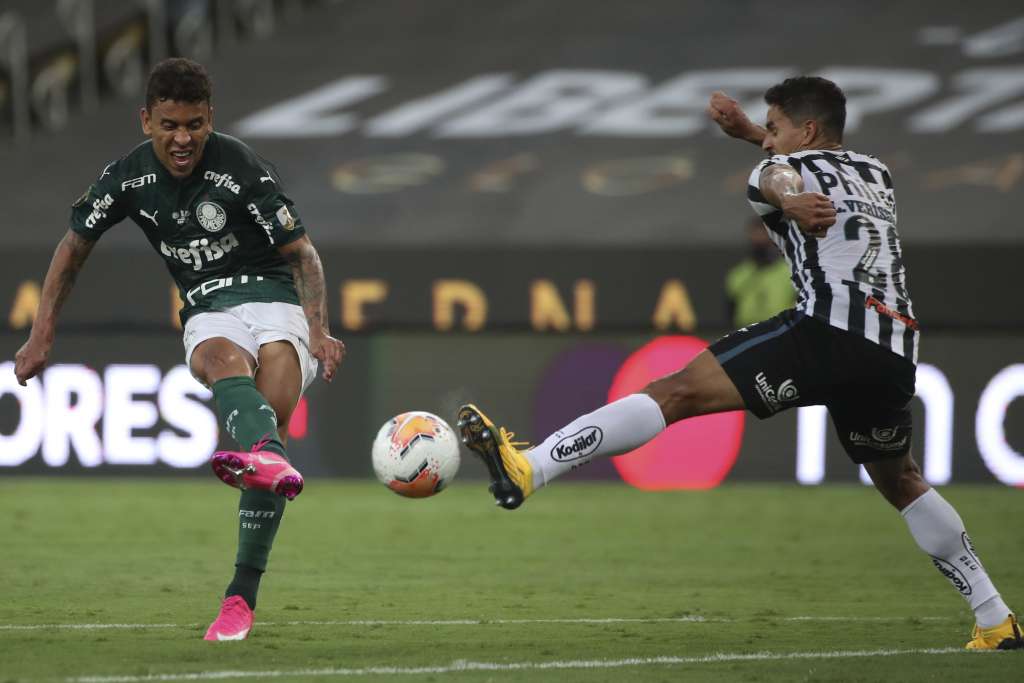 Confira a comemoração do Palmeiras pelo título da Libertadores 2020. VEJA FOTOS 4 0002050525423 img