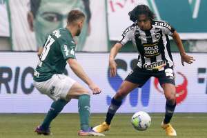 Palmeiras 1 x 1 Botafogo - Verdão parte para o Catar mantendo Fogão em situação complicada