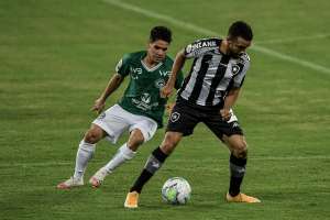 Goiás x Botafogo-RJ - Esmeraldino tenta embalar para seguir sonhando em sair do Z4