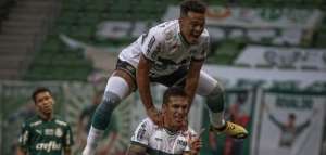 Coritiba x Palmeiras - Alviverdes apenas cumprem tabela no Brasileirão