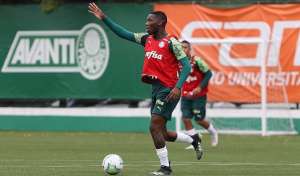 Recuperado da Covid-19, volante é mais uma opção no Palmeiras