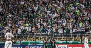 Série B: Palmeiras será julgado e pode perder mando de campo