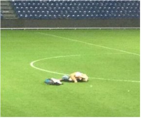 Que situação! Casal é flagrado fazendo sexo no meio do gramado