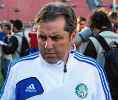 Série B: Kleina exalta campanha palmeirense em turno da Série B