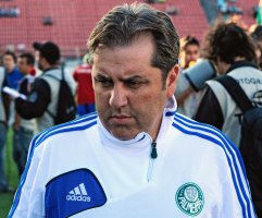Expulso na Copa do Brasil, treinador do Palmeiras é absolvido pelo STJD