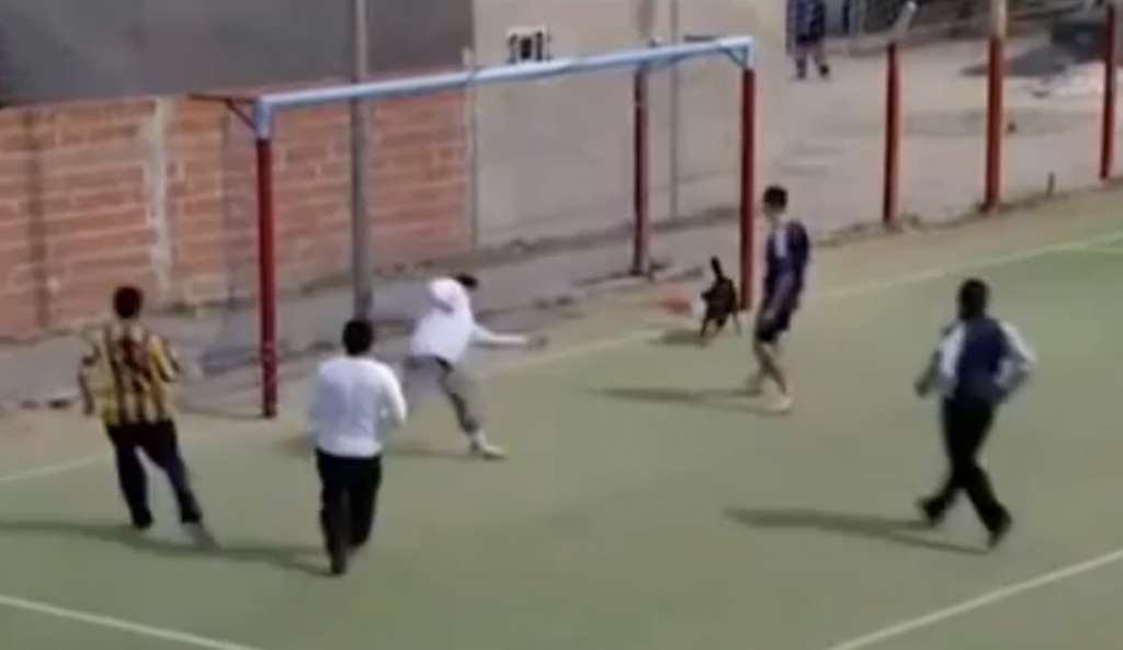 Cachorro marca gol na Argentina e ainda sai para comemorar. Confira!