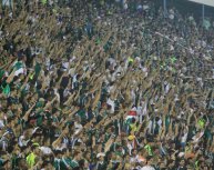 Série B: Público do Palmeiras em São José do Rio Preto supera jogos do Brasileirão