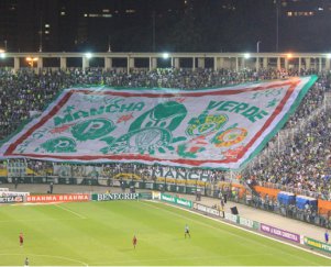 Palmeiras lidera ranking de público da Série B; Outros paulistas decepcionam