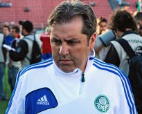 Série B: Dirigente do Palmeiras despista sobre futuro de Kleina