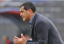 Palmeiras sonda ídolo da torcida para ser o técnico no Centenário