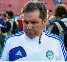 Silvio Gumiero: Palmeiras fraco em 2014