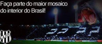 Torcida da Ponte prepara mosaico e queima de fogos no “Macacaembu”
