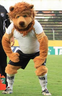 Ponte Preta é o Brasil na Sul-Americana? Não para Bragança Paulista