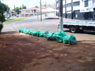 Após festa na quarta, estádio da Ponte Preta amanhece às moscas