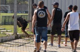 Paulistão: Polícia busca corintianos identificados na invasão