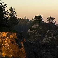 NBA: Com vitória, Collins é 1º gay declarado a atuar no basquete americano