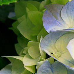 Tênis: Bellucci vira número um do País e Nadal abre 4 mil pontos