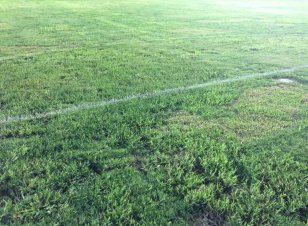 Paulista A2: Red Bull volta a criticar gramado do Estádio do Guaratinguetá