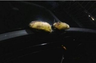 Absurdo! Árbitro relata racismo de torcedores no RS