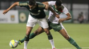 Liberado lote extra de ingresso promocional para torcida do Palmeiras