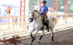 Hipismo: Brasil é campeão por equipe no Adestramento dos Jogos Sul-Americanos