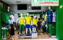 Torcedores do Palmeiras poderão jogar contra profissionais do basquete