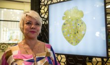 Mitsubishi recebe convidados no lançamento do livro Mitsubishi Motorsports