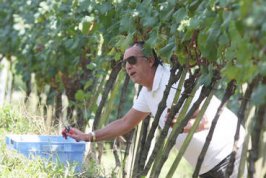 Narrador Global vai ter fazenda desapropriada para ampliação de Aeroporto