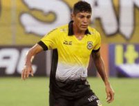 Carioca: Fluminense entra na briga com Timão por volante do São Bernardo