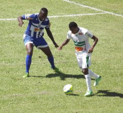 PAULISTA A3: Rio Preto e São José “B” em busca da liderança isolada