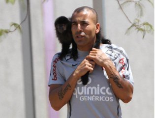 Corinthians recebe garantias e herói da Liberta é do Botafogo