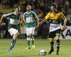 Silvio Gumiero: O Palmeiras e os contratos de produtividade