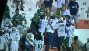 Depredação e feridos! Torcedores de Ponte, Guarani e Paraná brigam