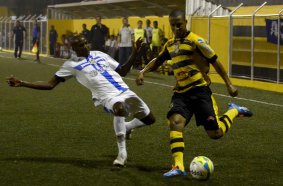 Paulista A3: Técnico do Novorizontino comemora ponto e pede apoio da torcida