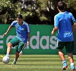 Palmeiras x Botafogo – Desgastado, Verdão mira o G4 contra o Fogão