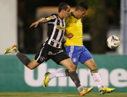 Palmeiras 0 x 2 Botafogo – Com Verdão de “Brasil”, Gareca vê outra derrota