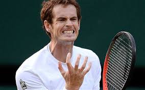 Tênis: Murray define Amelie Mauresmo como sua nova técnica