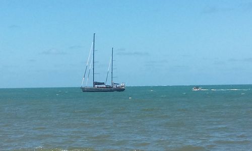 Alemães vivem manhã de aventura e velejam na Bahia