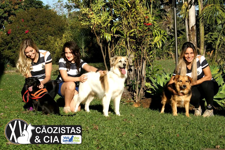 XV faz campanha solidária em apoio a uma ONG de cães