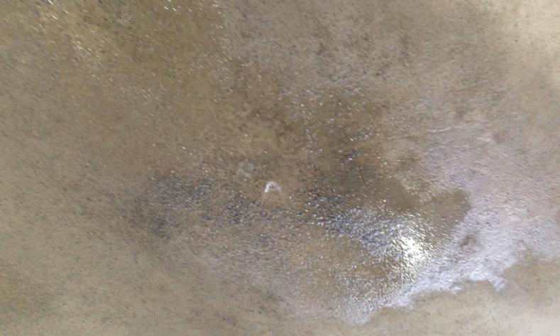 Goteiras molharam torcedores na Arena Corinthians! - Rodolfo Brito / Agência FI