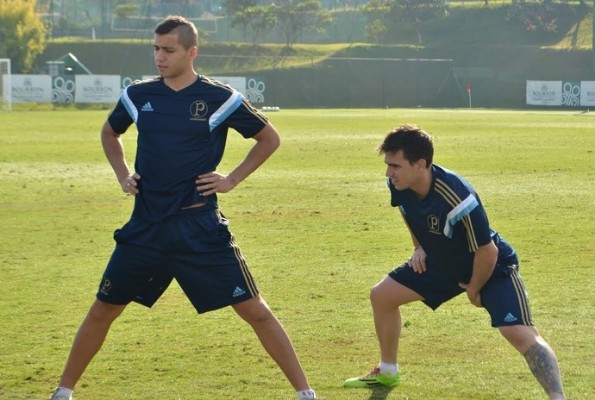 Palmeiras quer acabar com série negativa no Brasileirão
