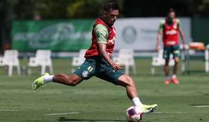 Clube inglês mira volante do Palmeiras; Guarani pode receber 