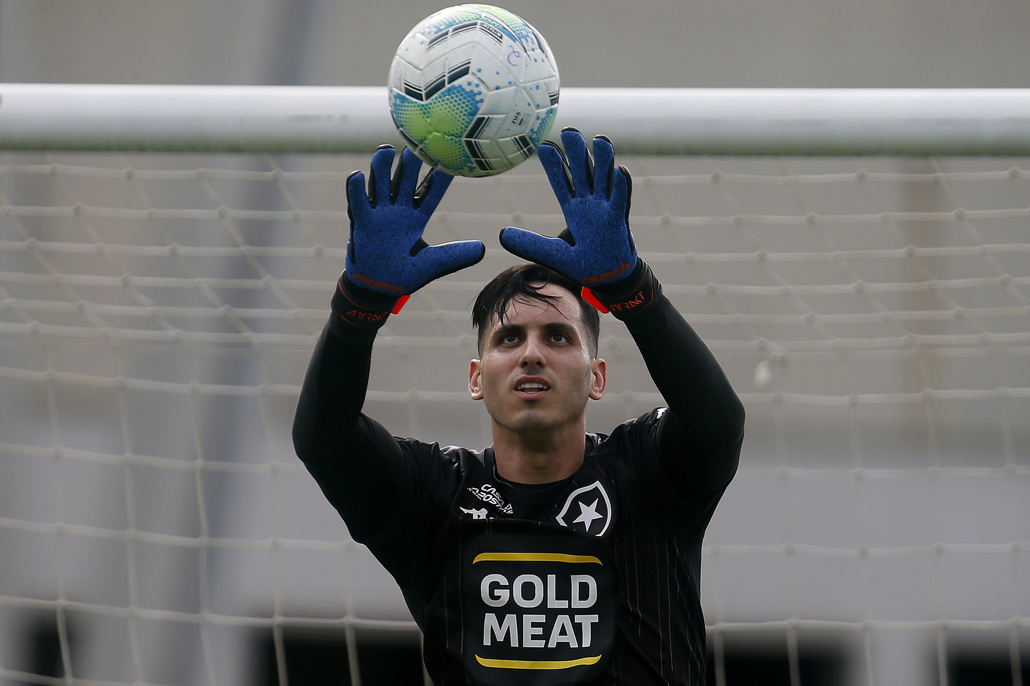Botafogo deseja renovar com ídolo e avalia situação de goleiro ex-Palmeiras