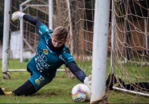 Alagoano: CSA acerta com goleiro Raul, do Aimoré-RS