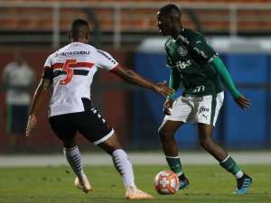 Botafogo-SP x Palmeiras - A nuvem negra sairá de cima do Palestra Itália?