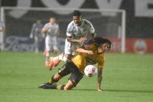 Libertadores: Marinho culpa o time do Santos pela derrota para o Barcelona