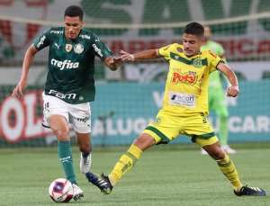 Com classificação encaminhada, técnico pede pés no chão no Mirassol