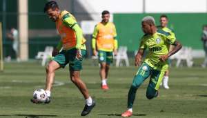 Atacante se recupera de lesão, treina e pode reforçar Palmeiras na Libertadores